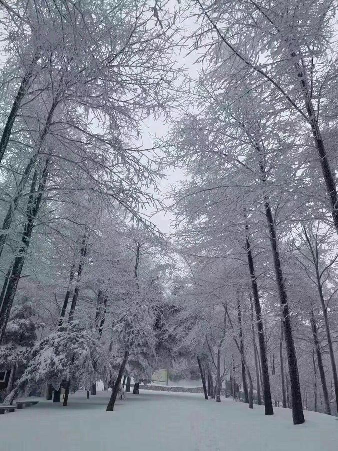 Вилла Mogan Mountain Xiaomusensen Deqing Экстерьер фото