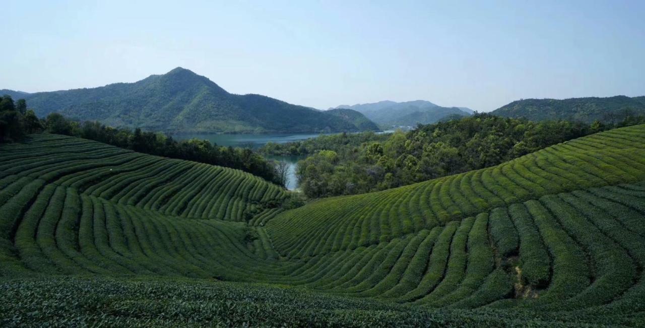 Вилла Mogan Mountain Xiaomusensen Deqing Экстерьер фото